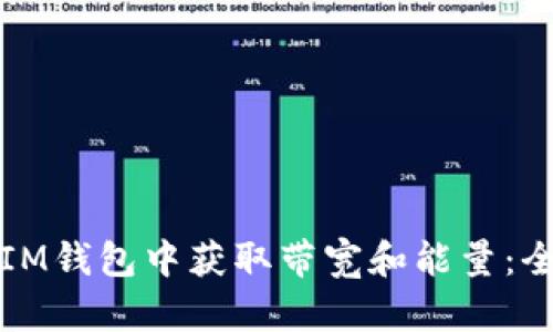 如何在IM钱包中获取带宽和能量：全面指南