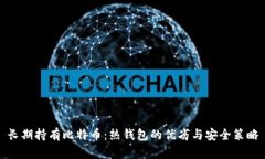 长期持有比特币：热钱包