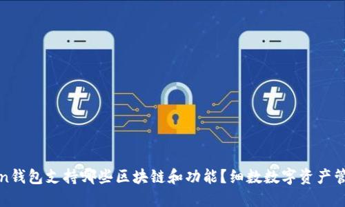 : imToken钱包支持哪些区块链和功能?细数数字资产管理新趋势