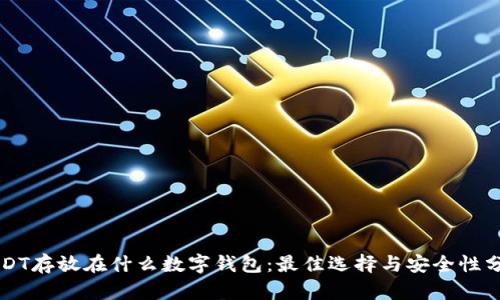 USDT存放在什么数字钱包：最佳选择与安全性分析
