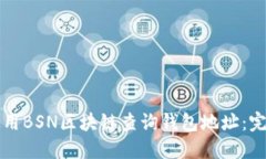 如何使用BSN区块链查询钱