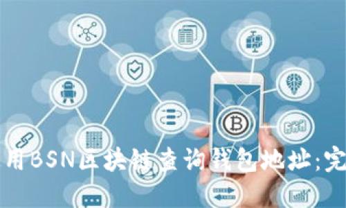 如何使用BSN区块链查询钱包地址:完整指南