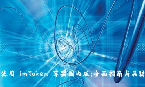 如何安全使用 imToken 苹果国内版:全面指南与关键注意事项