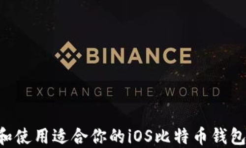 如何选择和使用适合你的iOS比特币钱包:全面指南