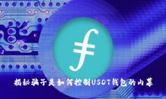 揭秘骗子是如何控制USDT钱