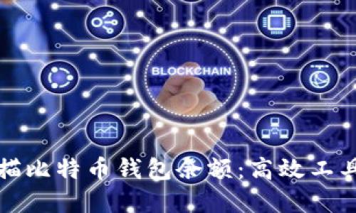 如何批量扫描比特币钱包余额：高效工具与实用技巧