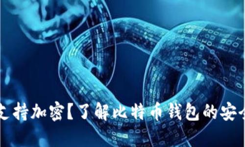 比特币钱包不支持加密?了解比特币钱包的安全性与选择指南