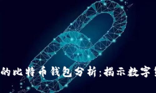 2023年最富有的比特币钱包分析:揭示数字货币财富的秘密