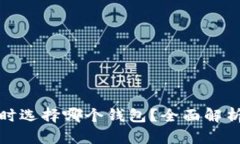 开发区块链时选择哪个钱