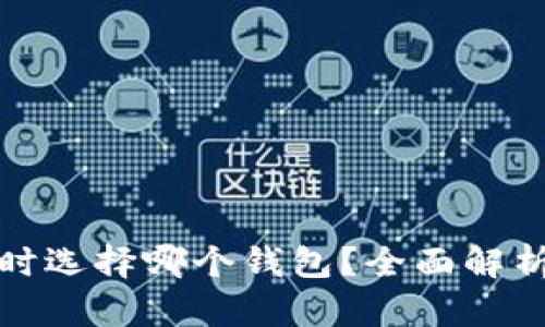 开发区块链时选择哪个钱包?全面解析与最佳选择