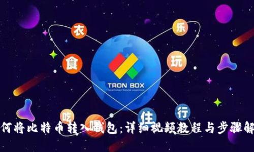 如何将比特币转入钱包:详细视频教程与步骤解读