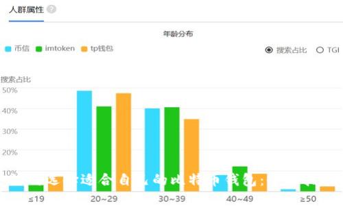 如何选择适合自己的比特币钱包:全面指南