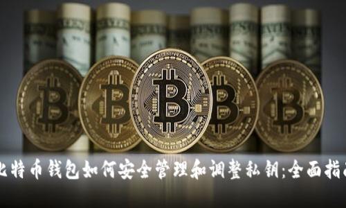 比特币钱包如何安全管理和调整私钥:全面指南