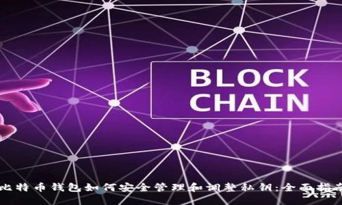 比特币钱包如何安全管理和调整私钥:全面指南