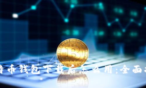 比特币钱包下载后怎么用:全面指南