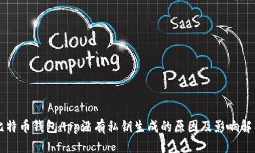 比特币钱包App没有私钥生成的原因及影响解析