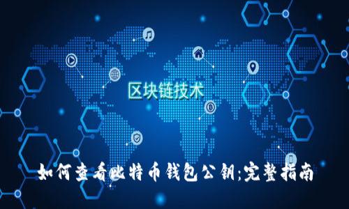 如何查看比特币钱包公钥:完整指南