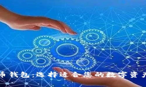 常见比特币钱包:选择适合您的数字资产管理工具