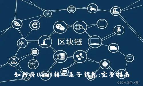如何将USDT转入麦子钱包:完整指南