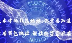 区块链技术中的钱包地址