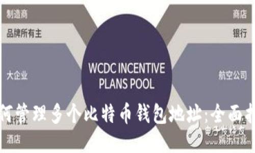 如何管理多个比特币钱包地址:全面指南