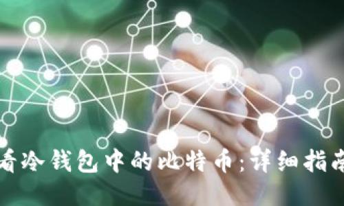 如何查看冷钱包中的比特币:详细指南与技巧