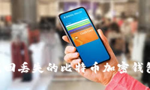 如何有效找回丢失的比特币加密钱包:详细指南