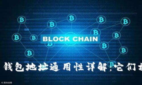 虚拟币钱包地址通用性详解:它们相同吗?