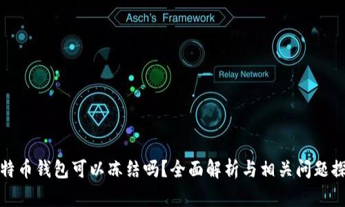比特币钱包可以冻结吗?全面解析与相关问题探讨