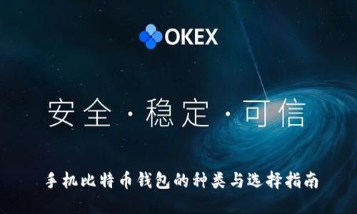 手机比特币钱包的种类与选择指南