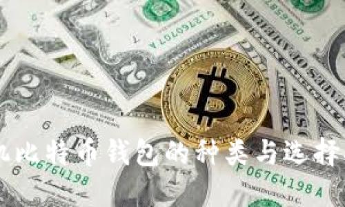 手机比特币钱包的种类与选择指南