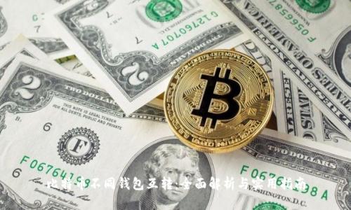 比特币不同钱包互转:全面解析与实用指南