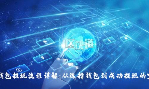 比特币钱包提现流程详解:从选择钱包到成功提现的完整指南