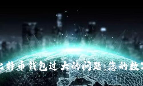 如何解决比特币钱包过大的问题：您的数字资产管理