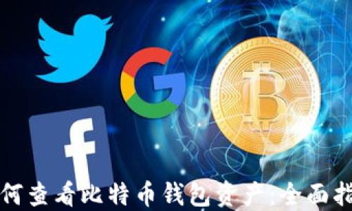 如何查看比特币钱包资产:全面指南