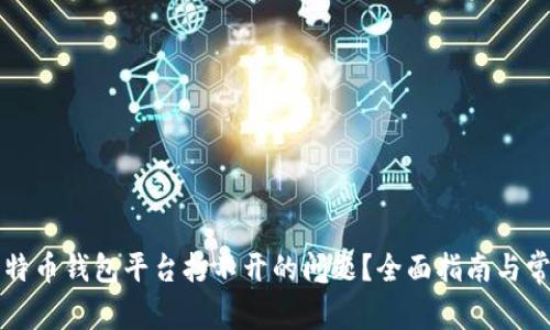 如何解决比特币钱包平台打不开的问题?全面指南与常见故障排查