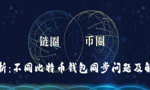 全面解析:不同比特币钱包同步问题及解决方案
