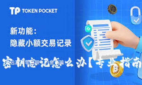 区块链钱包密钥忘记怎么办?专业指南与解决方案