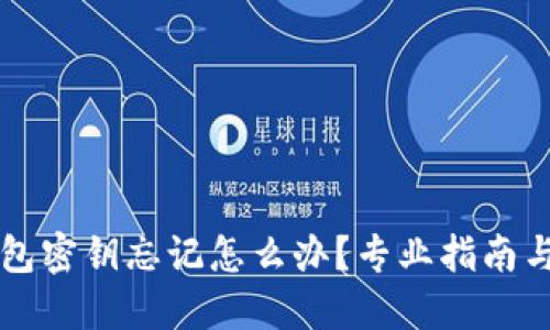 区块链钱包密钥忘记怎么办?专业指南与解决方案