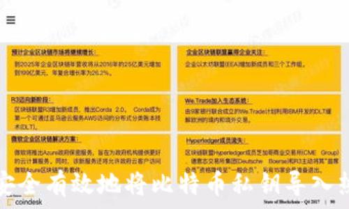 如何安全有效地将比特币私钥导入热钱包