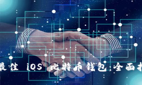 如何选择最佳 iOS 比特币钱包:全面指南与推荐