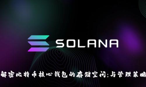 解密比特币核心钱包的存储空间：与管理策略