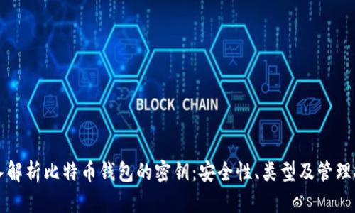 深入解析比特币钱包的密钥:安全性、类型及管理技巧