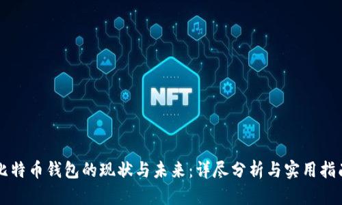 比特币钱包的现状与未来:详尽分析与实用指南