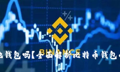 比特币需要本地钱包吗?全面解析比特币钱包的必要性与选择