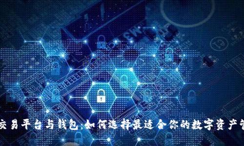 虚拟币交易平台与钱包：如何选择最适合你的数字资产管理工具