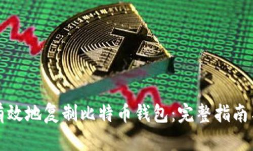 如何安全有效地复制比特币钱包:完整指南与最佳实践