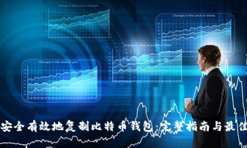 如何安全有效地复制比特币钱包:完整指南与最佳实践