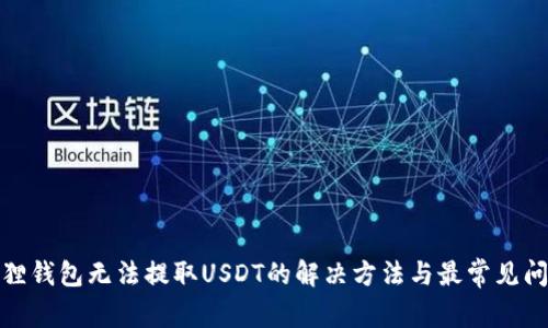 : 小狐狸钱包无法提取USDT的解决方法与最常见问题解析