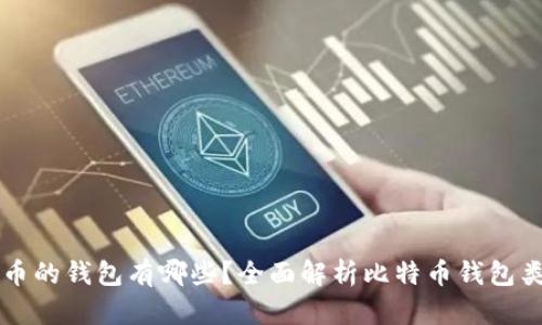 可以装比特币的钱包有哪些？全面解析比特币钱包类型及其特点